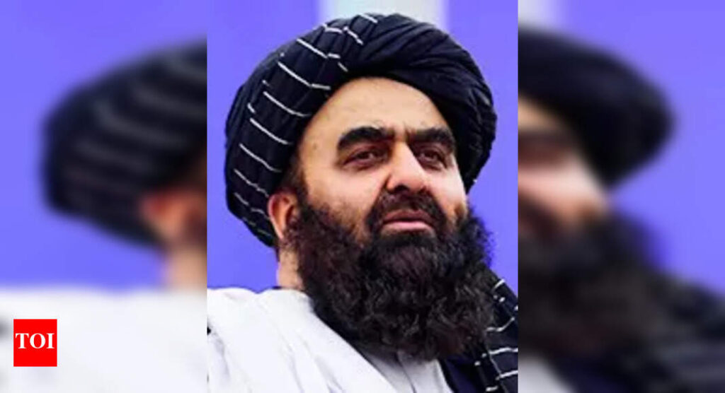 India visit of Taliban minister runs into travel waiver trouble | India News