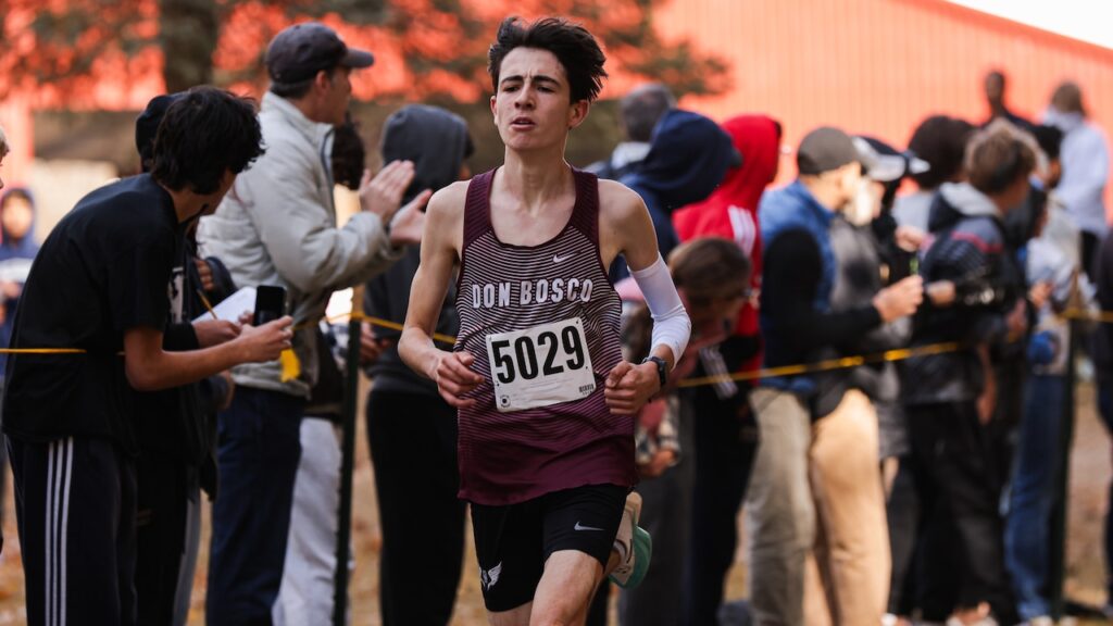 Boys cross-country Fab 50, Oct. 30: Final rankings before sectional showdowns