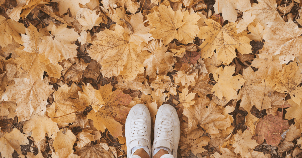 NJIB's Guide to New Jersey November Events & Festivals 2025