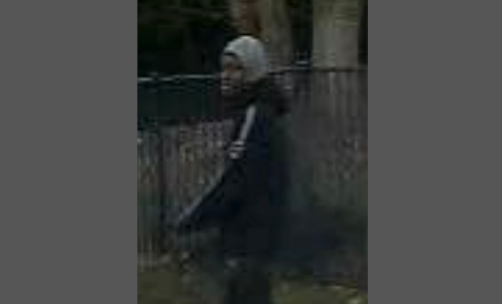 Man sought after attacking woman pushing stroller in Howell neighborhood Mostly Sunny