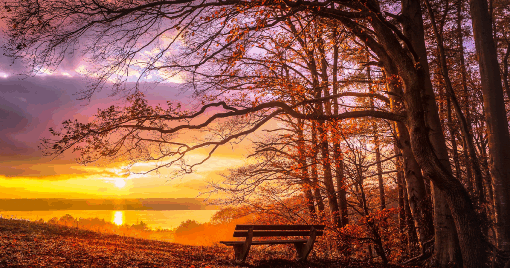 NJIB's Guide to November 7th