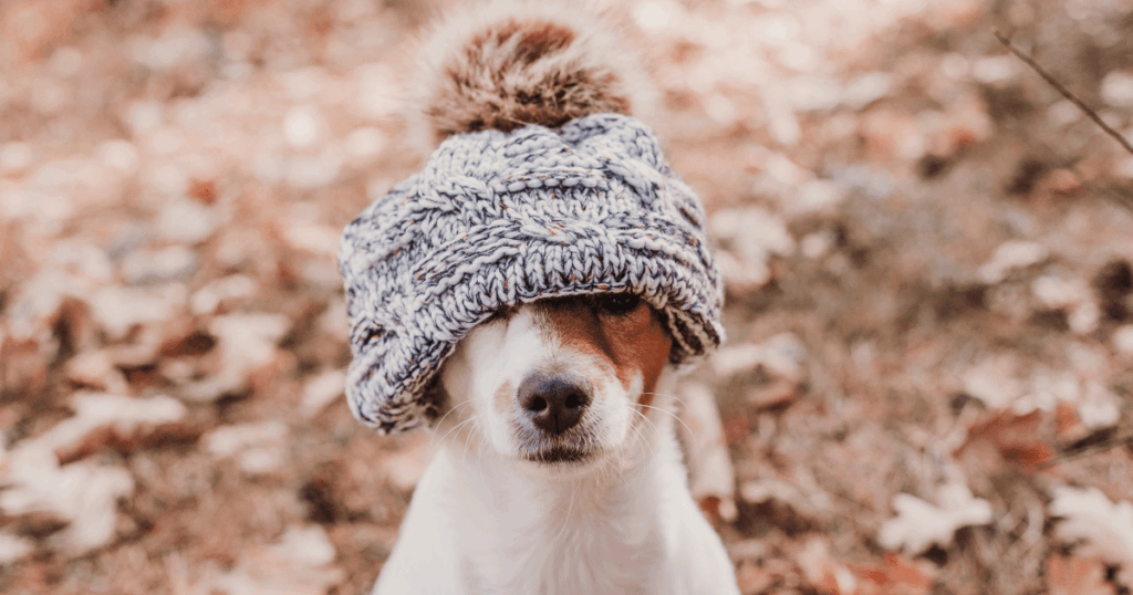 New Jersey Events November 14 New Jersey Events November 14