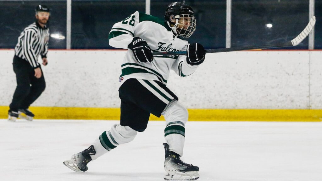 Shearer, Monagas lead St. Joseph (Met.) past Red Bank Catholic - Boys ice hockey recap
