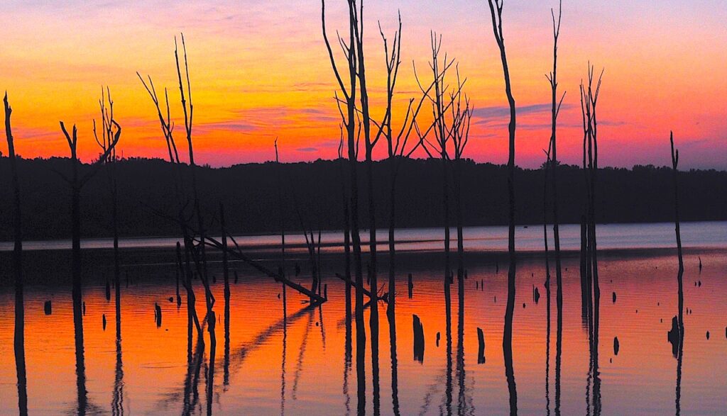 An Air Force safety concern in this N.J. town was traced to surprising source