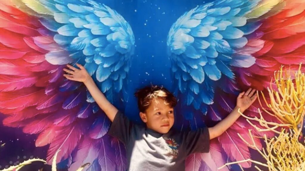 Driver pleads not guilty in hit-run death of 6-year-old in PB