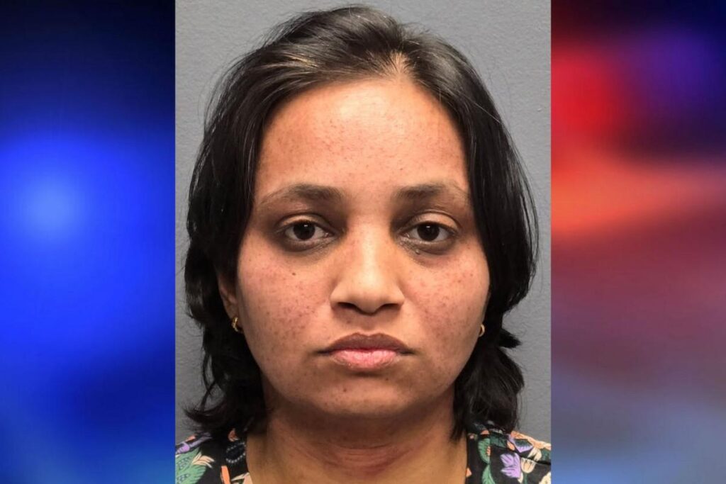 Hillsborough mother pleads not guilty to murder of two young sons