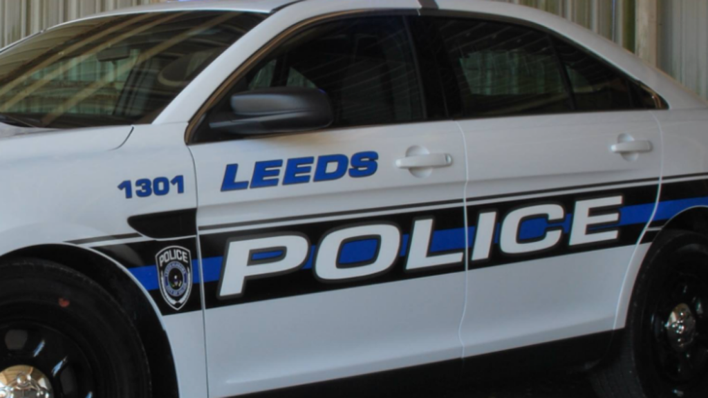Leeds woman arrested, accused of interfering with traffic stop
