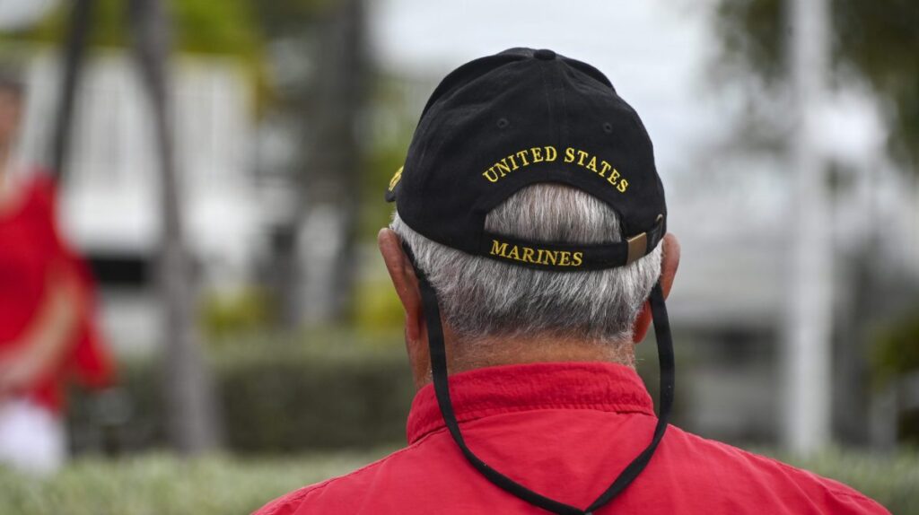 Man pleads guilty to hacking VA health records system