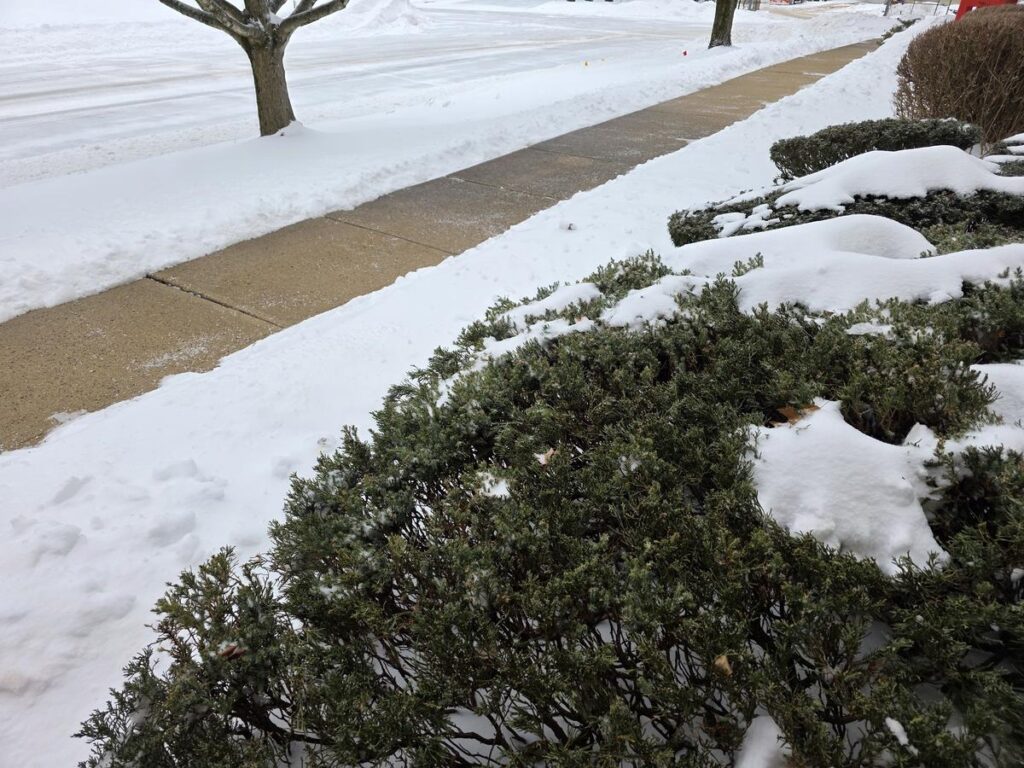 This could be our coldest week in over a decade