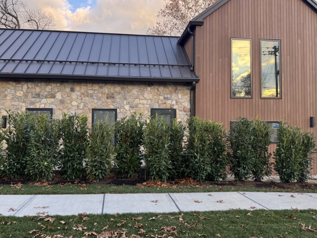 Adelaide is Coming Later this Month to Woodcliff Lake – Boozy Burbs