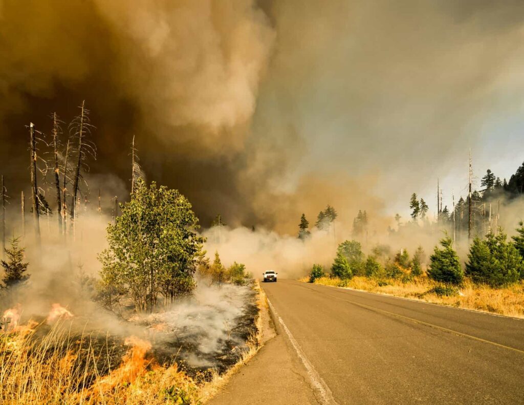 How Climate Disasters Turn Homeowners Into Renters