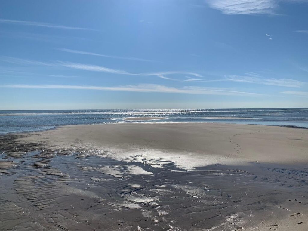 Is calling out for burnout finally OK in New Jersey?