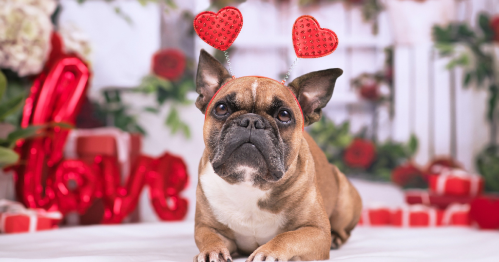 New Jersey Events February 6th