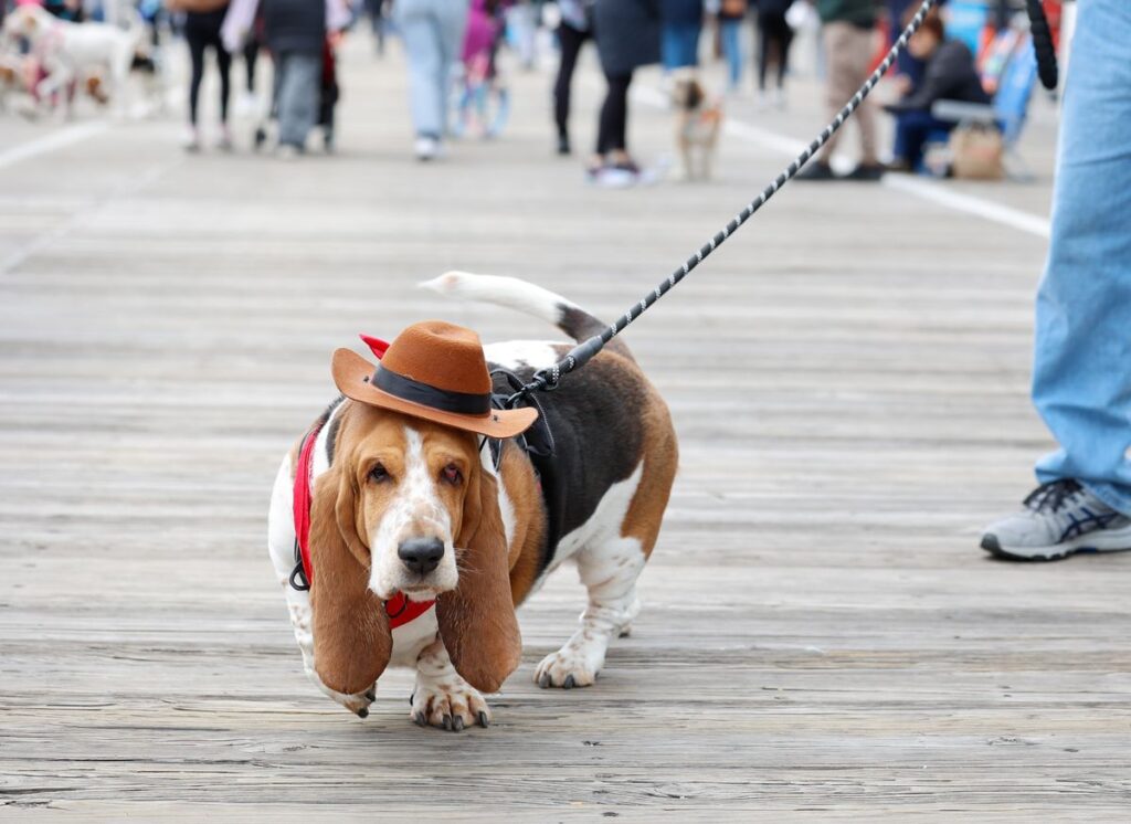 Ocean City Gets Ready for Spring Events