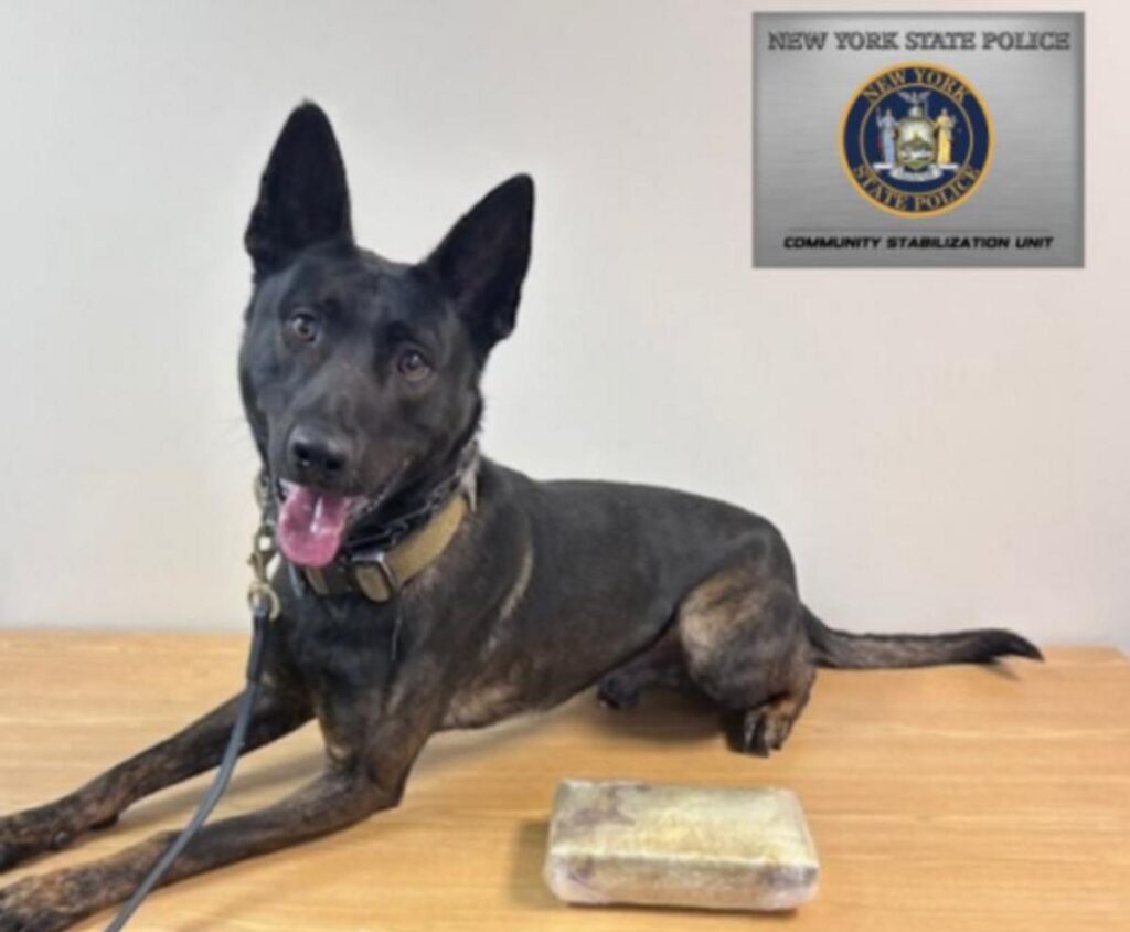 Over Two Pounds Of Cocaine Found During Newburgh Traffic Stop