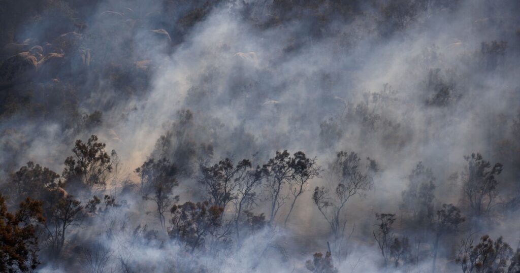 State bill could end tax break for large digital lenders