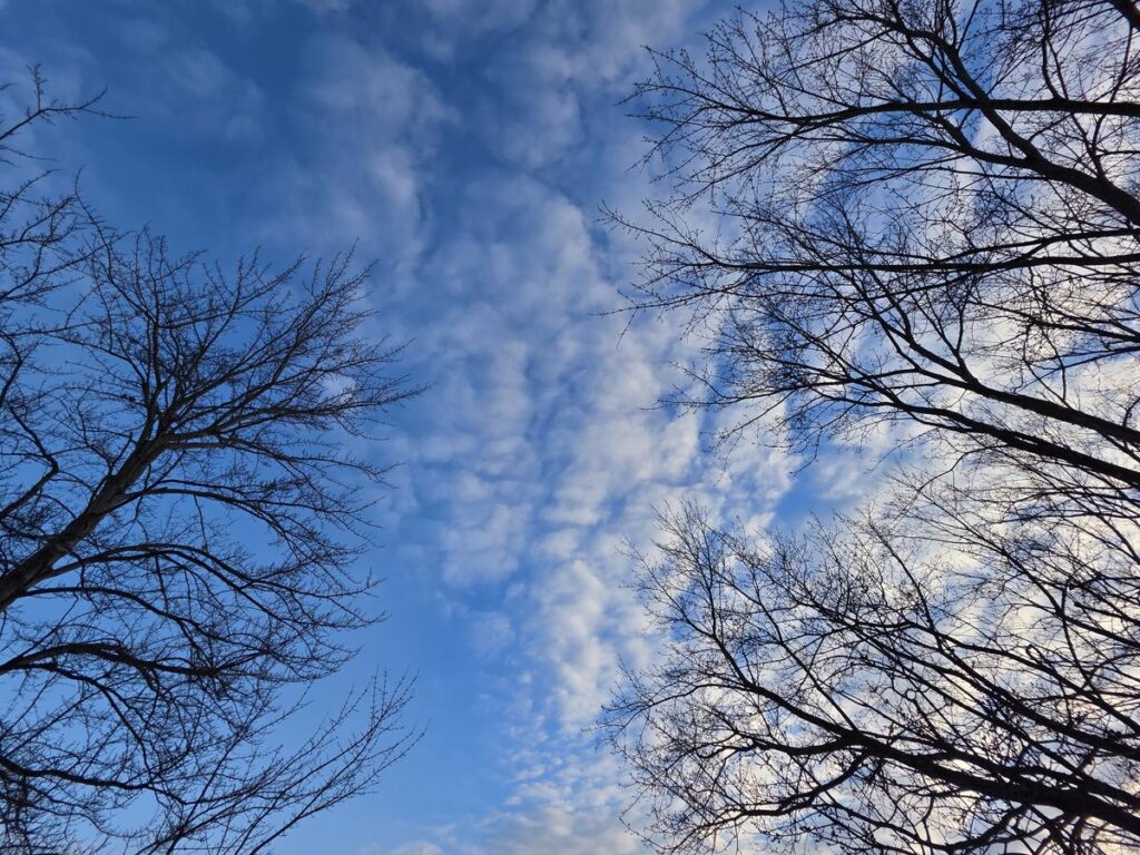 Temps trend colder, snow and cold wind just days away