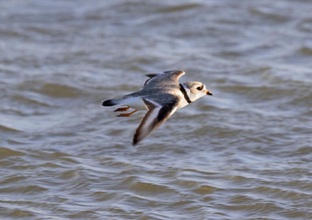 Towns Worry That New Rule Could Restrict Beach Access