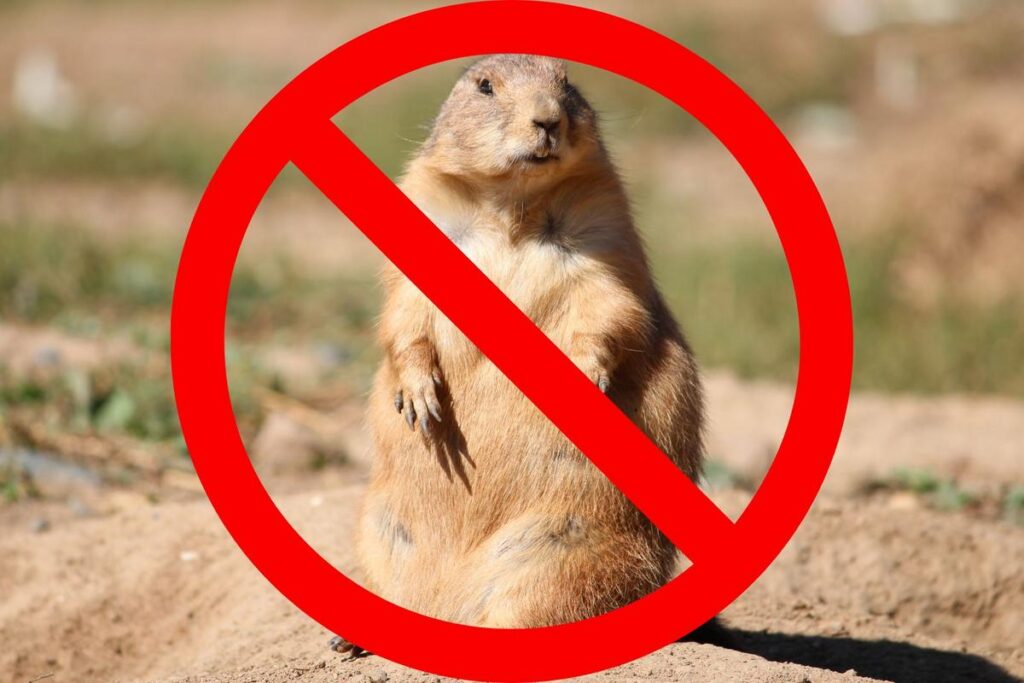 Why February 4 is a true milestone for New Jersey winters