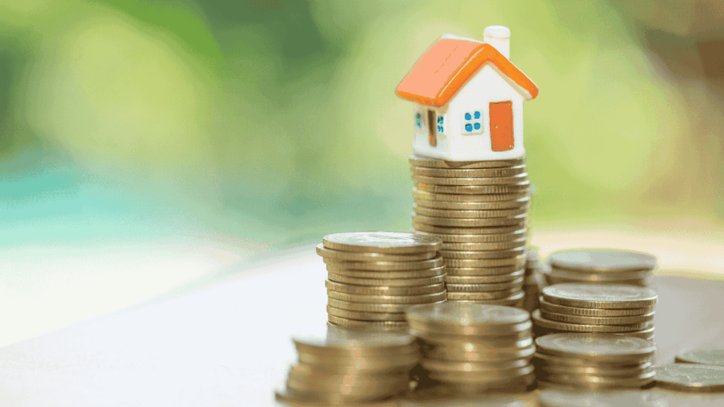 Contributor's Piece (49)