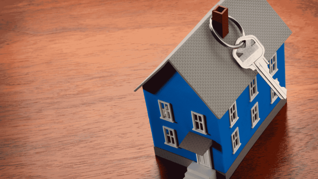 Contributor's Piece (50)