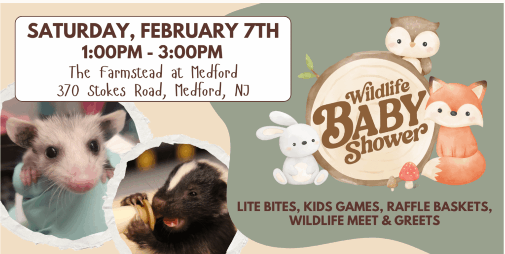 Woodford Cedar Run Wildlife Baby Shower Feb 7th