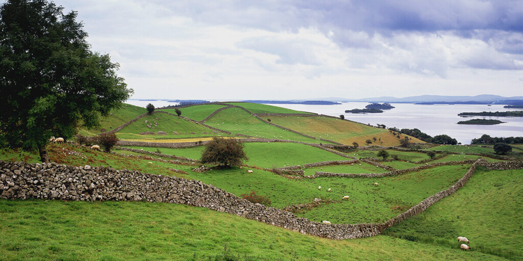 Love for Irish cooking connects families – Star News Group