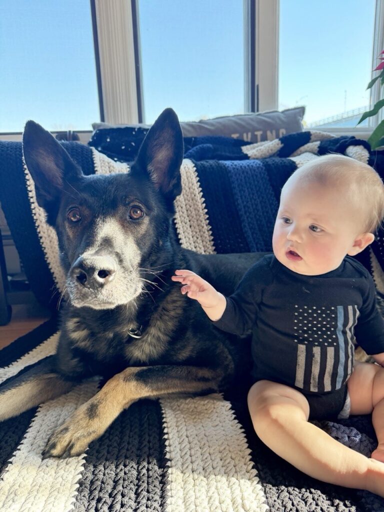 Point Pleasant Beach mourns K-9 Bolt – Star News Group