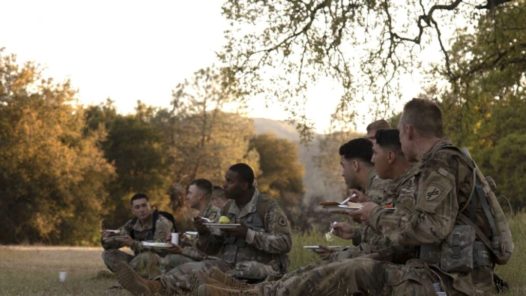 The Army is looking for 'alternative protein' for soldiers in the field