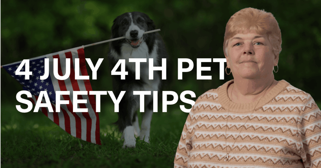 4 Pet Safety Tips for the 4th of July