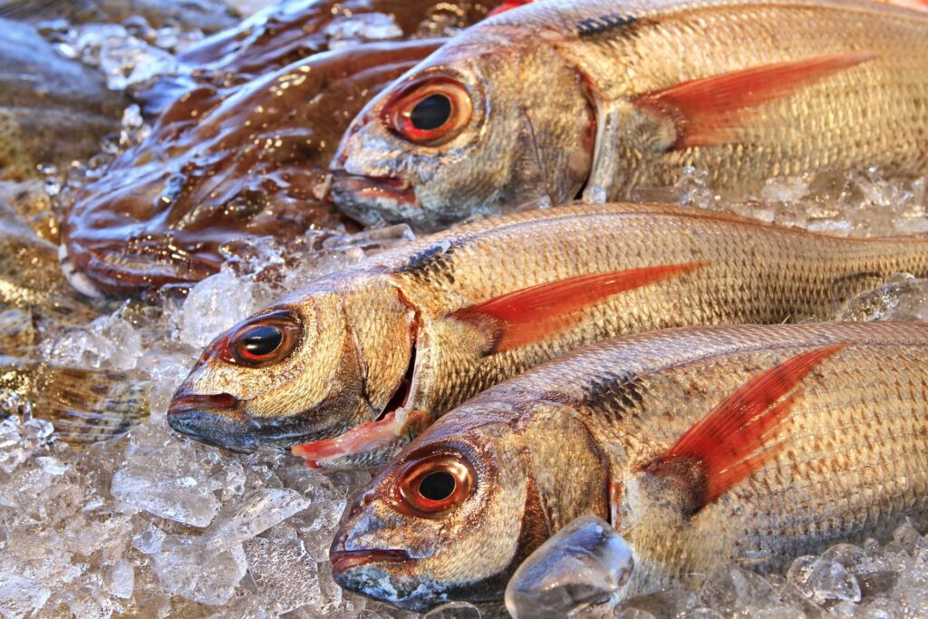 Bergen Has Some of the State’s Best Seafood Restaurants Bergen Has Some of the State’s Best Seafood Restaurants
