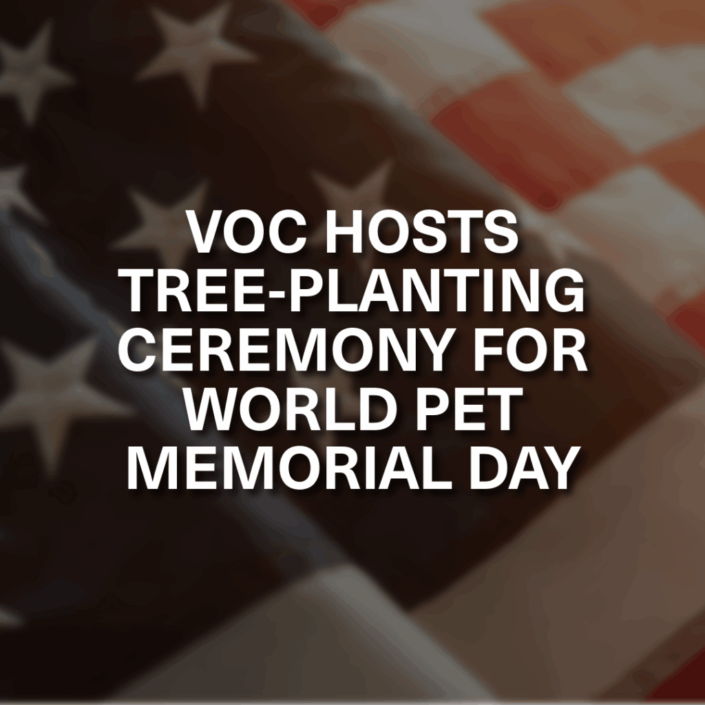 Veterans Outreach Center Hosting Tree-Planting Ceremony for World Pet Memorial Day