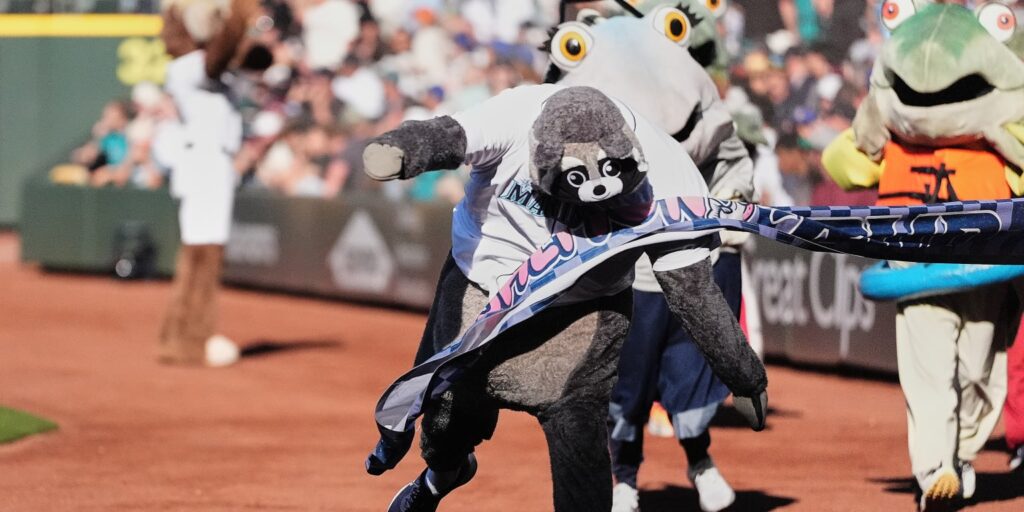 Jimothy the raccoon wins Mariners’ salmon race Jimothy the raccoon wins Mariners' salmon race