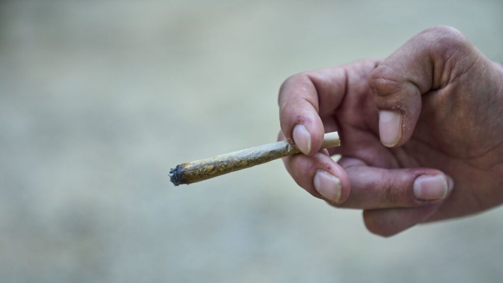 Marijuana still banned for troops if rules change, Pentagon says Marijuana still banned for troops if rules change, Pentagon says