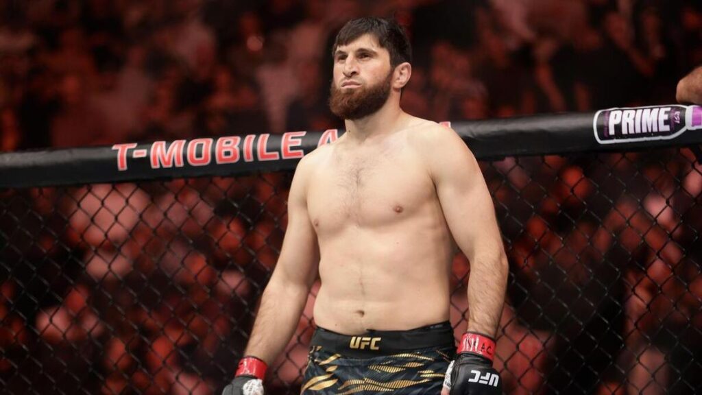 UFC Fight Night: Ankalaev vs. Guskov