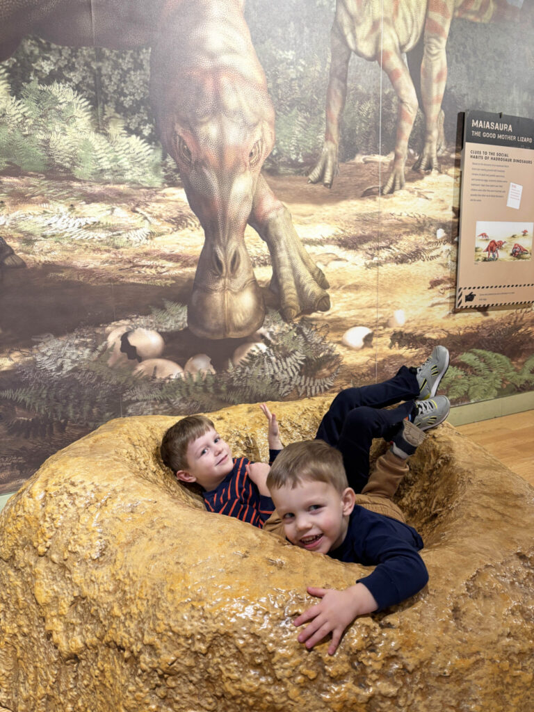 15 Kid-Friendly Things to Do in Morristown