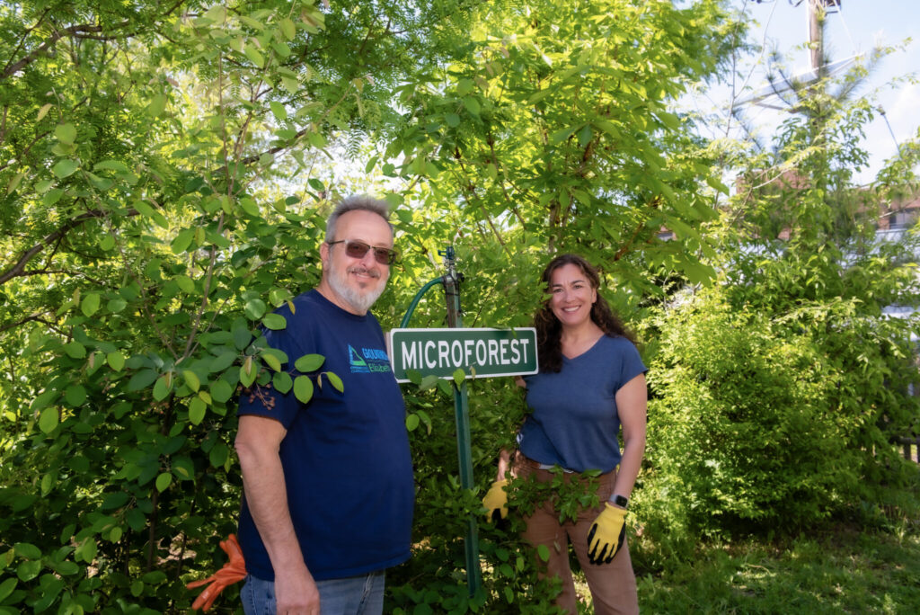 A Look Inside New Jersey's Tiny Forest Movement