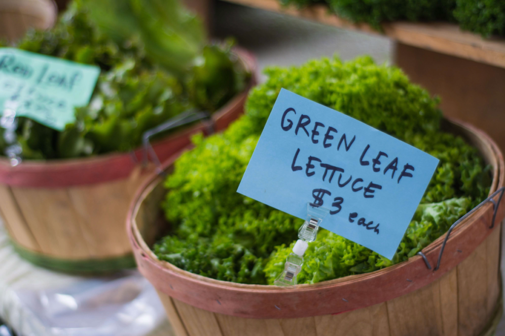 Concerned About Cyclospora? Visit These NJ Farms for Local Produce