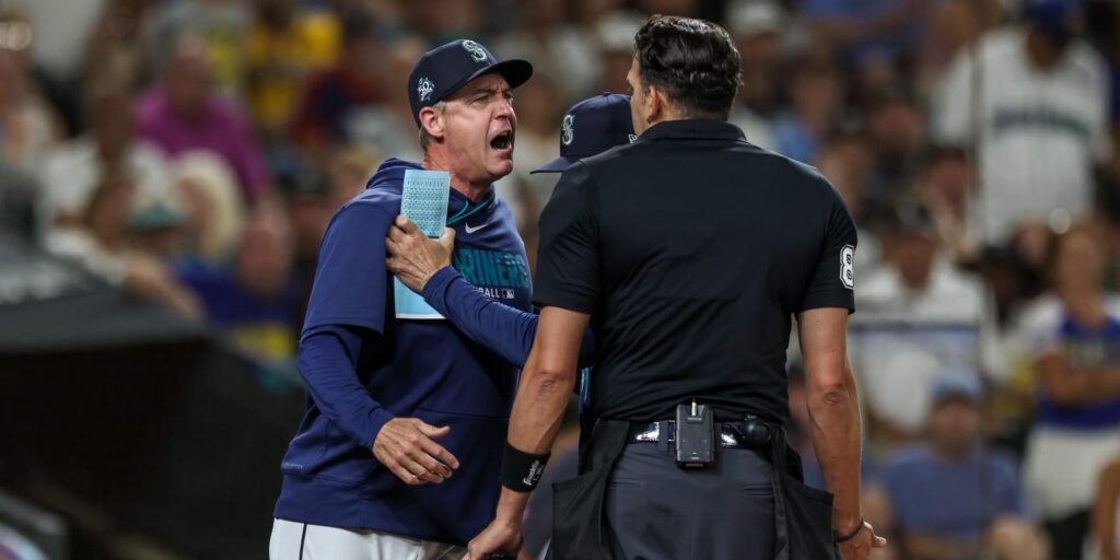 Dan Wilson ejected during Rays-Mariners game