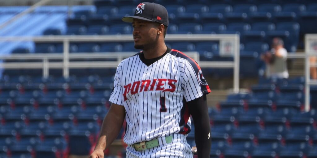 Mets prospect Jefferson Rojas hits 17th homer, 2nd in Mets organization