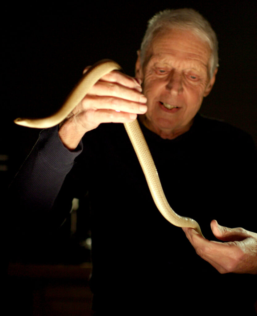NJ at the Heart of New Docuseries On Exotic Reptile Smuggling