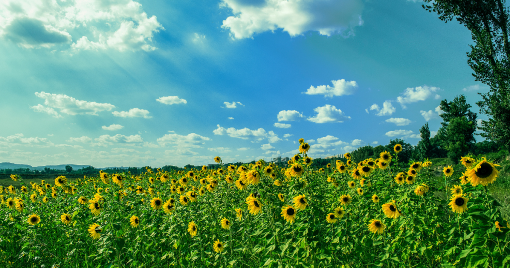 New Jersey Events August 14