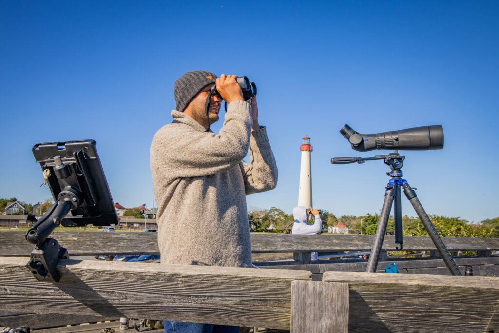 Cape May Is One of the Best Places in the World for Fall Birding