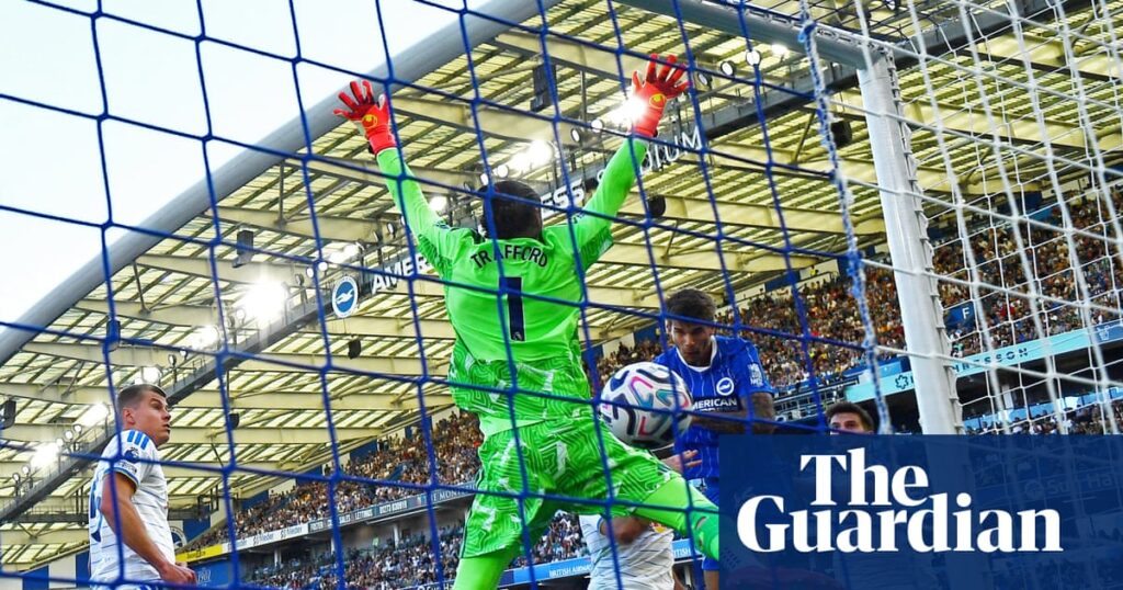 Luka Vuskovic rides to the rescue for Brighton as Leeds fail to take chances | Premier League