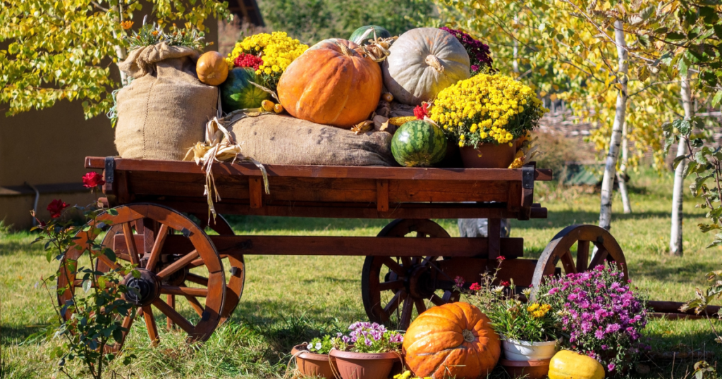 NJIB's Guide to New Jersey October Festivals and Events