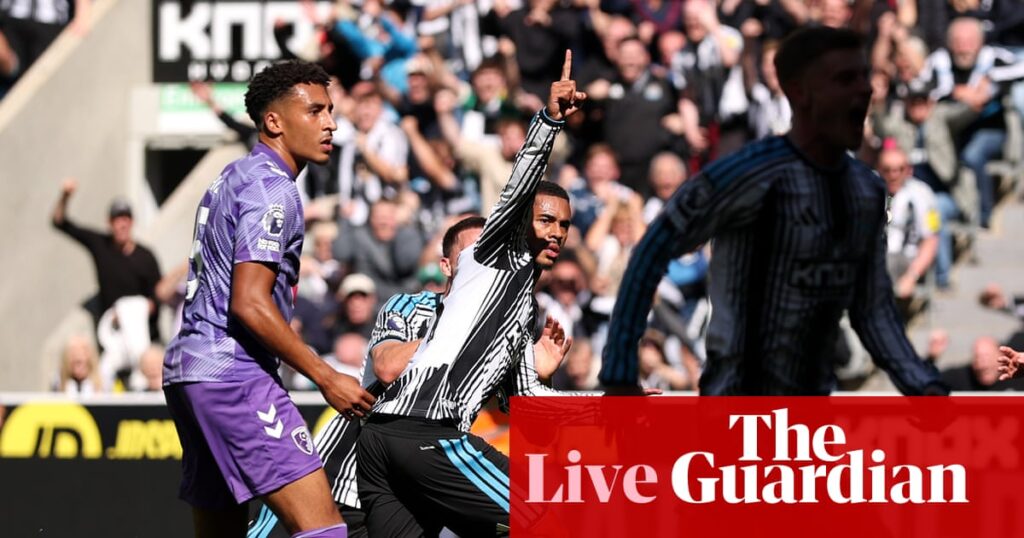 Newcastle United 2-2 Bournemouth: Premier League – as it happened | Premier League