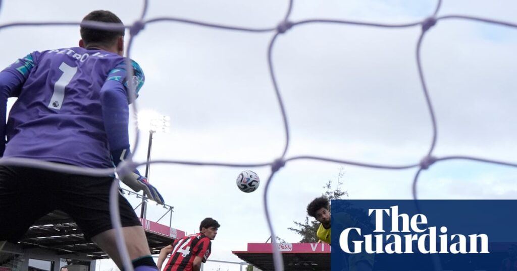 Schade double denies Bournemouth first league win as Brentford rescue draw | Premier League