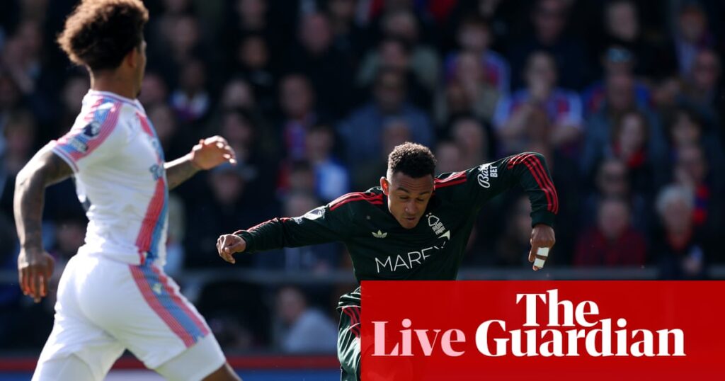 Crystal Palace v Nottingham Forest, Hull v Everton, Southampton 1-0 Portsmouth: football – live | Soccer